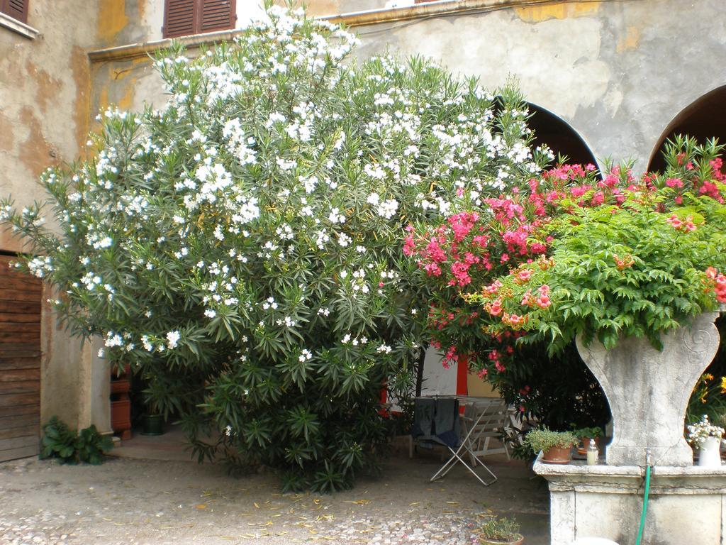 Bed and Breakfast Corte Dall'Era Brescia Exteriér fotografie